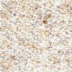 Pugi fenice 505 Swatch image for Pugi fenice 505
